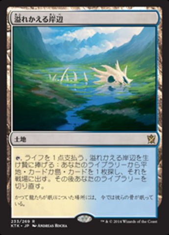 Flooded Strand [Khans of Tarkir] - Near Mint Foil, Japanese