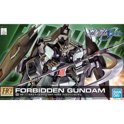 HG 1/144 Forbidden Gundam