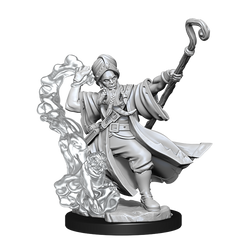 D&D Frameworks - Human Wizard