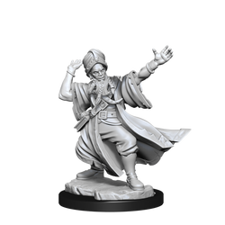 D&D Frameworks - Human Wizard